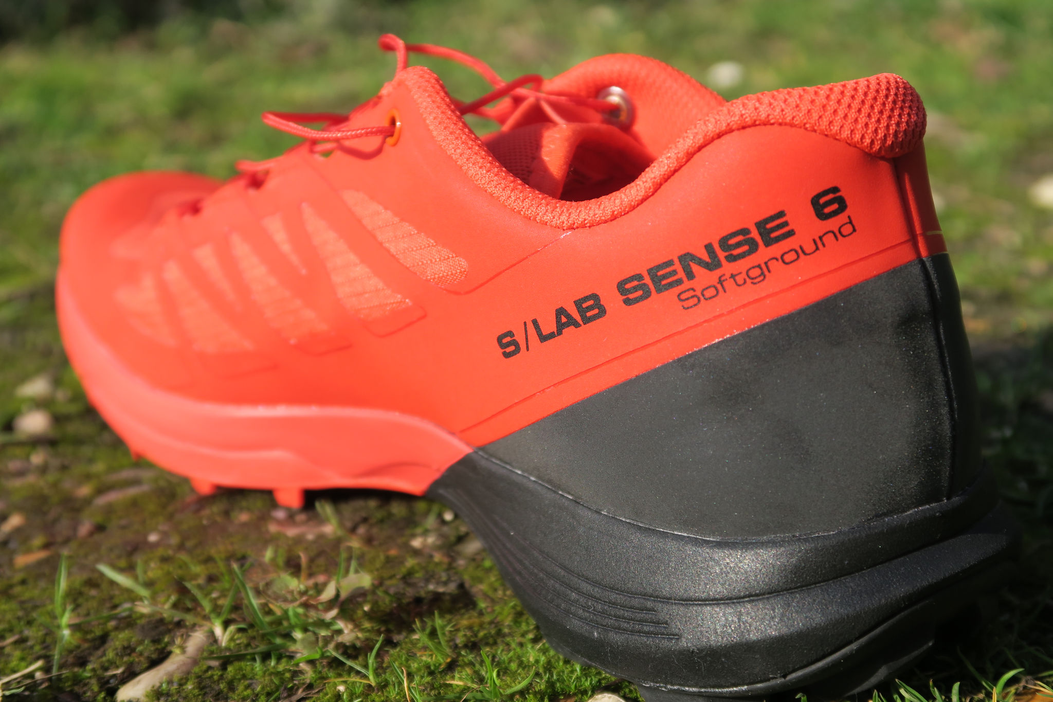 salomon sense 6 sg