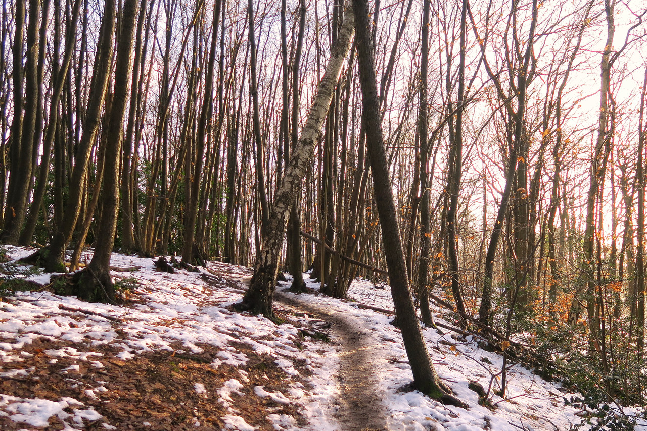 Le jour se l&egrave;ve sur le maxicross