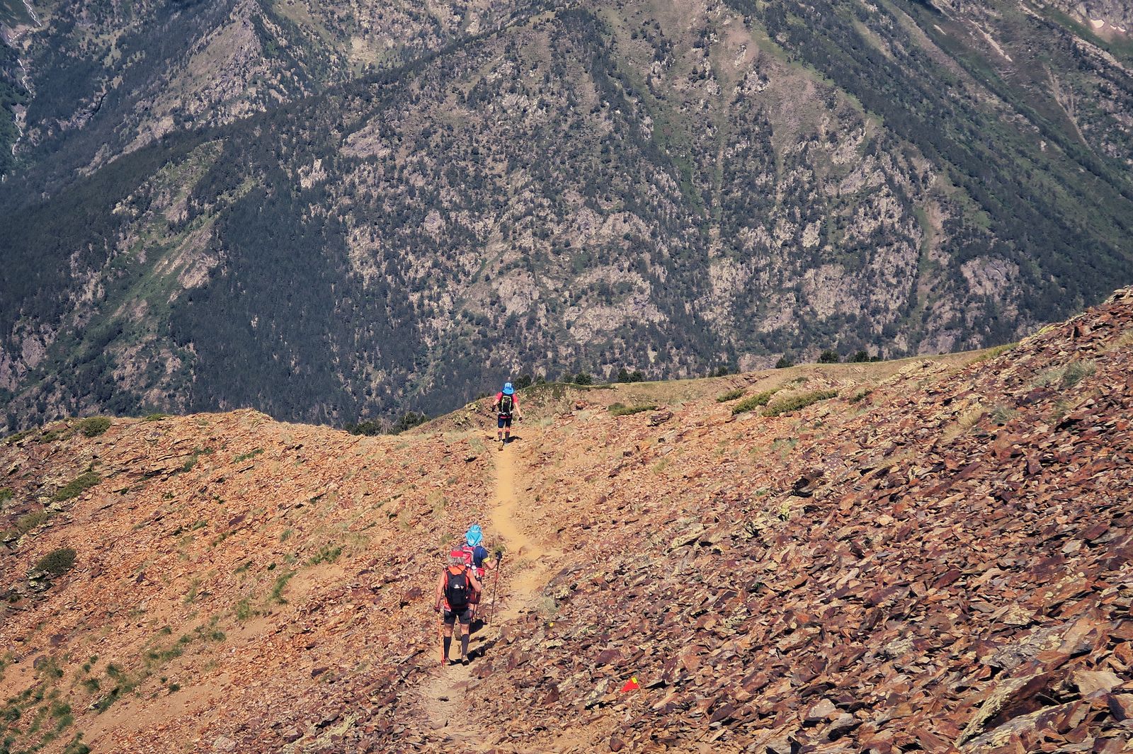 Dans la première descente