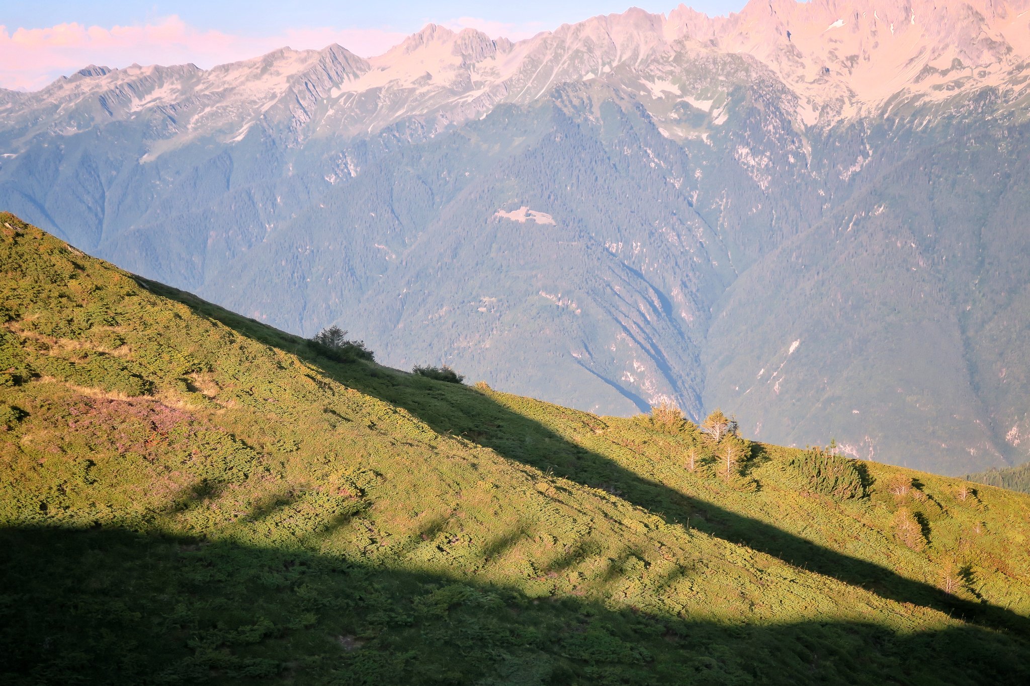 Ombres chinoises de coureurs