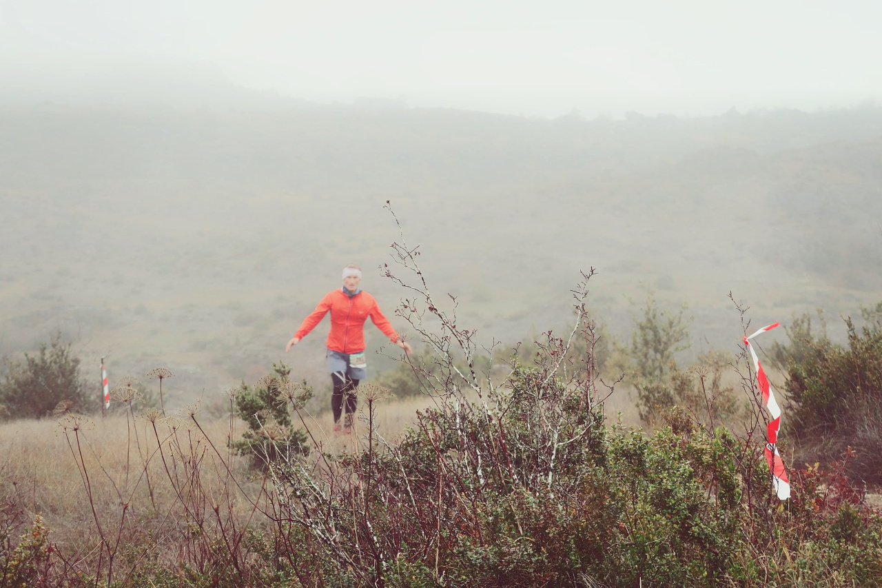 Quelque part sur les Causses