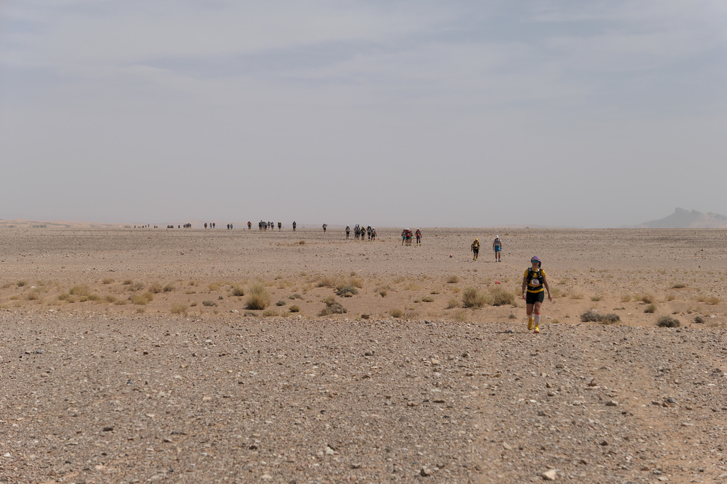 Lesq longues sections de reg ou de lacs assechés