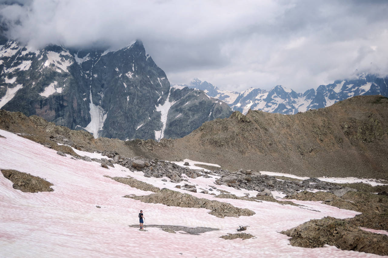 La neige rose