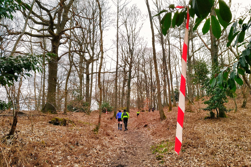 Quelque part sur le Trail du Marivel