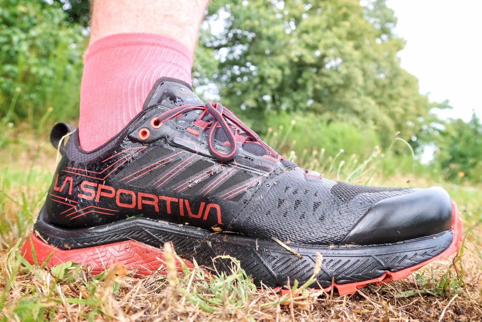 La sportiva online jackal avis