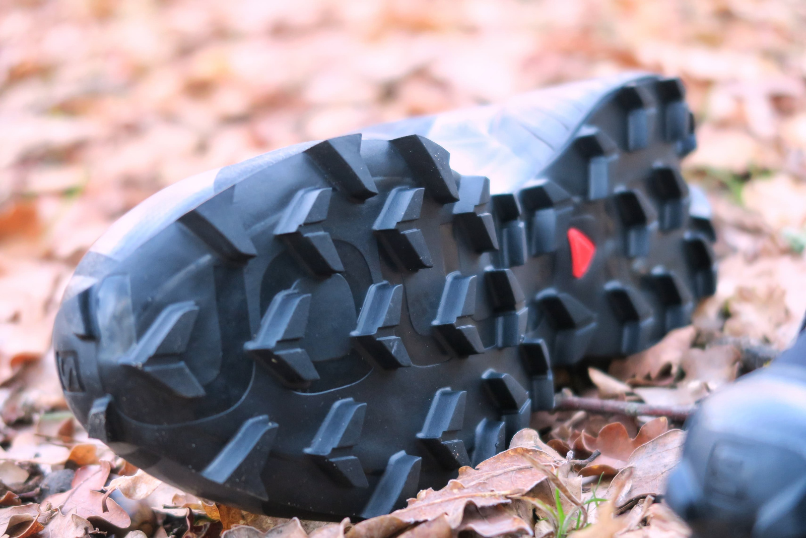 Les crampons de la Salomon SpeedCross 5