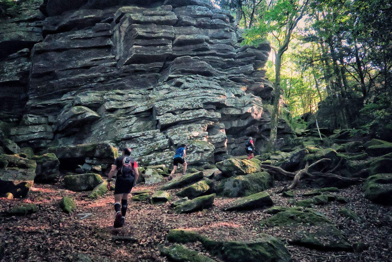 Les rochers de la forêt de Guerlédan