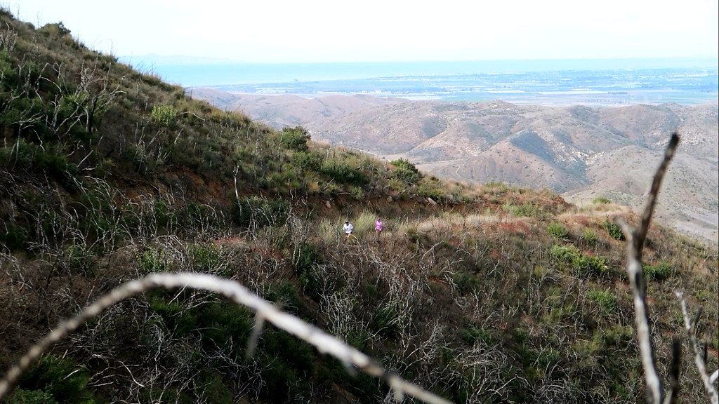 Paysages de la Boney Mountain Run