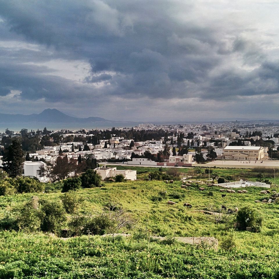 Vue sur la baie de Tunis depuis les hauteurs des ruines de Carthage