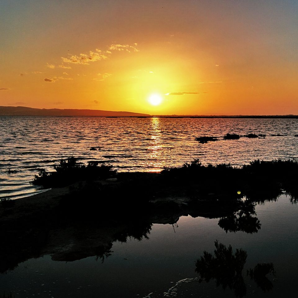 Les marais et lac autour de Tunis