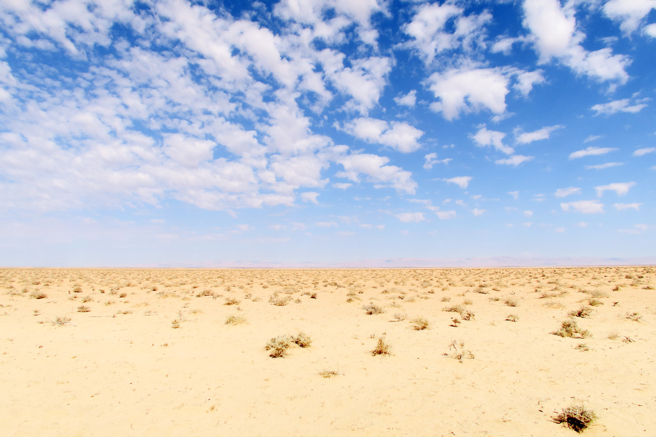 Le Chott el-Djerid près de Tozeur