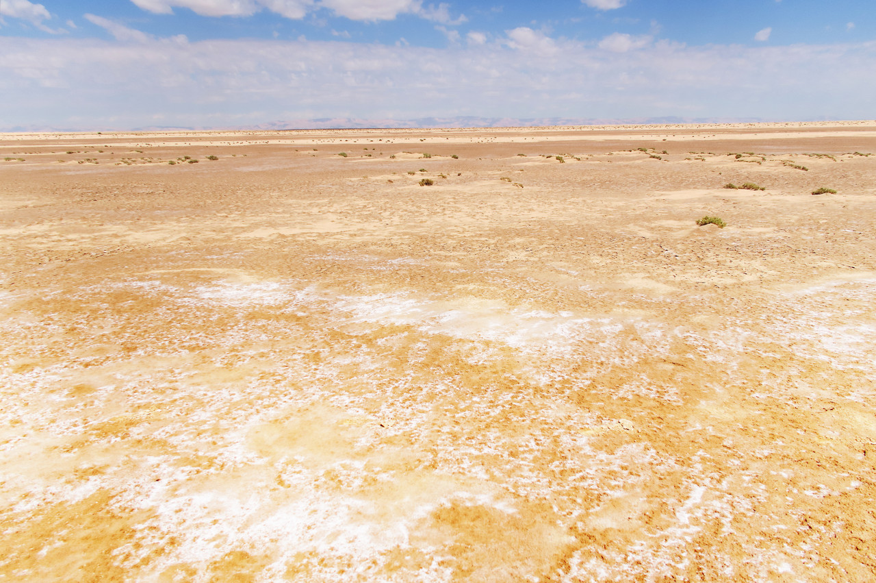 Le Chott el-Djerid, le lac salé